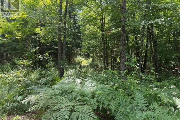 0 Axe Lake Road, Mcmurrich/monteith, ON P0A1X0 Photo 3