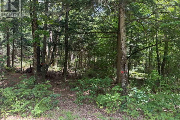 0 Axe Lake Road, Mcmurrich/monteith, ON P0A1X0 Photo 4