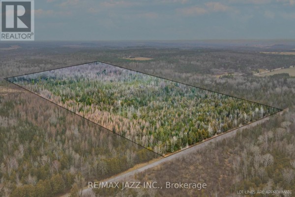 0 Ballyduff Road, Kawartha Lakes, ON L0A1K0 Photo 4