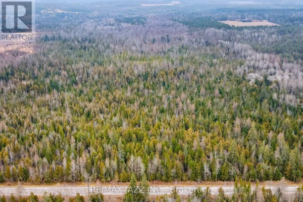 0 Ballyduff Road, Kawartha Lakes, ON L0A1K0 Photo 5