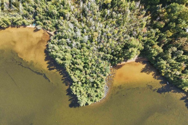0 Bayview Acres, Lake Of Bays, ON P0B1A0 Photo 4