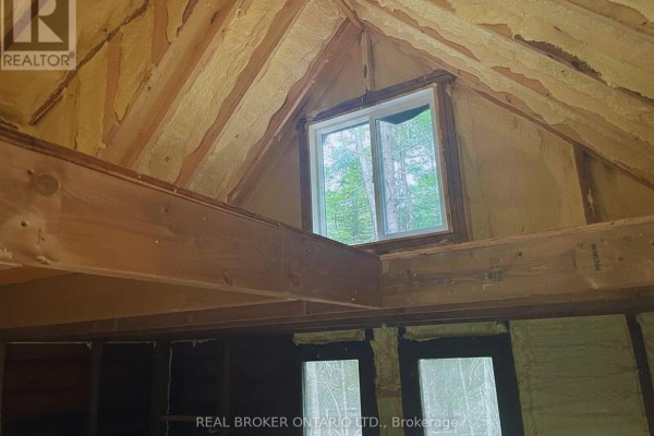 0 Bear Cave Road, Muskoka Lakes, ON P0C1J0 Photo 4