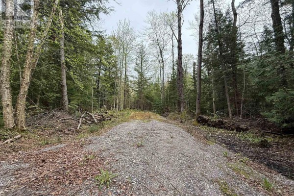 0 Bear Cave Road, Muskoka Lakes, ON P0C1J0 Photo 5