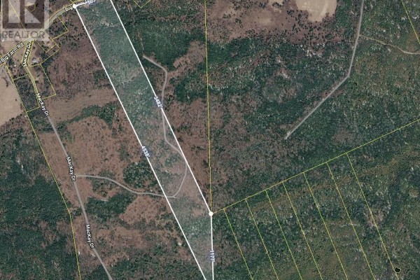 Aerial view of a long, narrow property lot surrounded by trees and roads. - 0 Big Farm Road, Baddeck Area