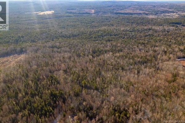 0 Boyd/clarence Ridge Road, Rollingdam, NB E5A2G8 Photo 4
