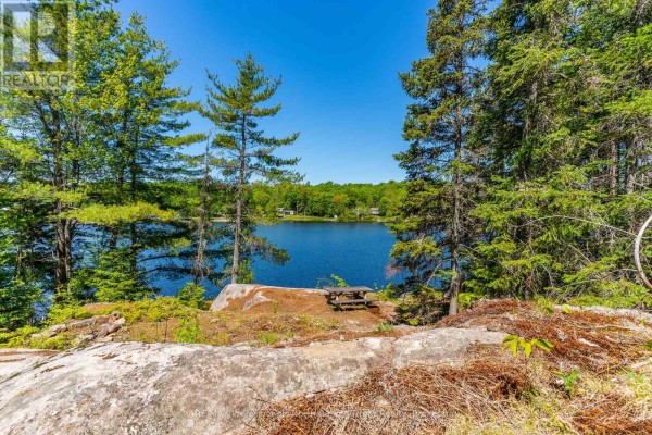 0 Brady Lake Road, Minden Hills, ON K0M2K0 Photo 4