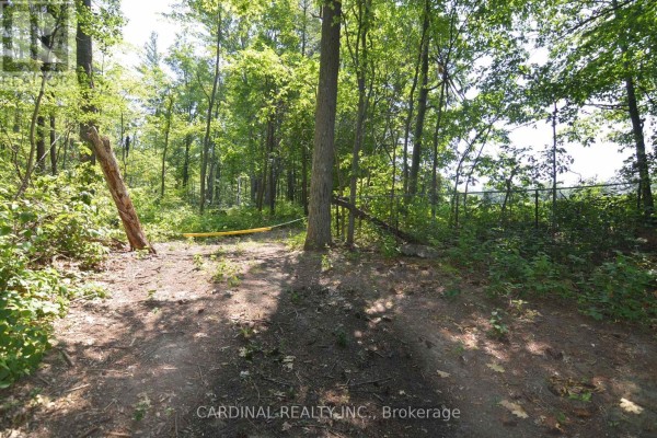 0 Browns/george - Vacant Lot Road, Alnwick/haldimand, ON, photo 2