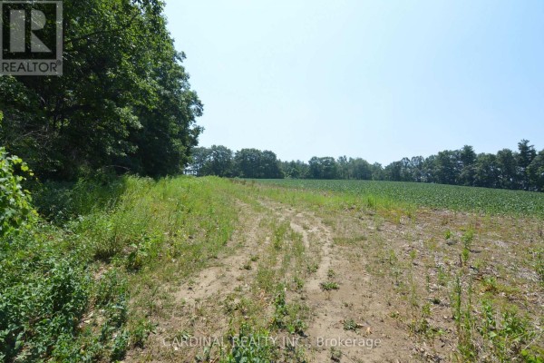 0 Browns/george - Vacant Lot Road, Alnwick/haldimand, ON, photo 3