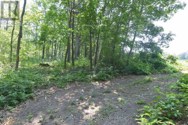 0 Browns/george - Vacant Lot Road, Alnwick/haldimand, ON K0K2X0 Photo 4