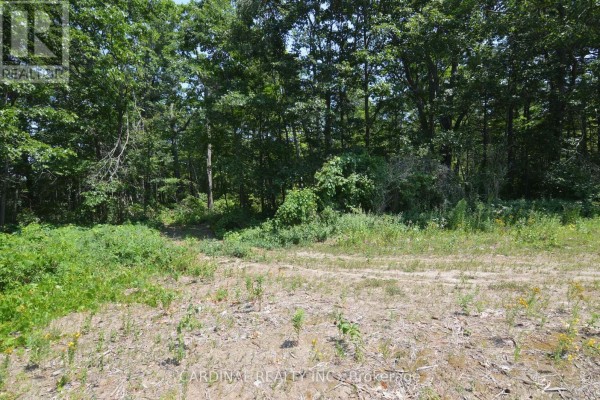 0 Browns/george - Vacant Lot Road, Alnwick/haldimand, ON K0K2X0 Photo 5