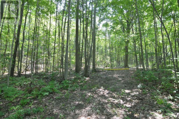 0 Browns/george Road, Alnwick/haldimand, ON, photo 2