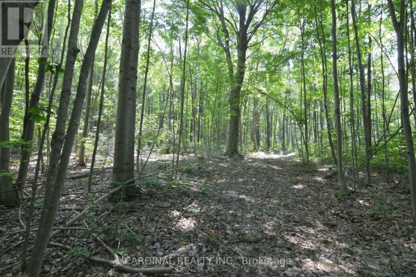 0 Browns/george Road, Alnwick/haldimand, ON, photo 3