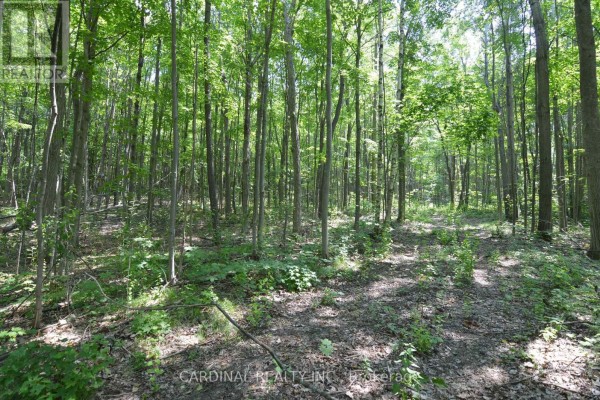 0 Browns/george Road, Alnwick/haldimand, ON K0K2X0 Photo 4