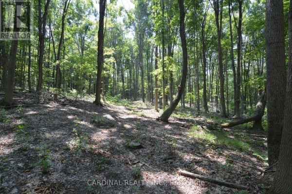 0 Browns/george Road, Alnwick/haldimand, ON K0K2X0 Photo 5