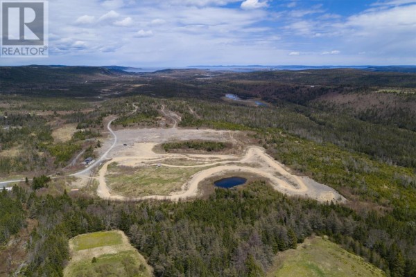 0 Butlerville Access Road, Bay Roberts, NL A0A1G0 Photo 4