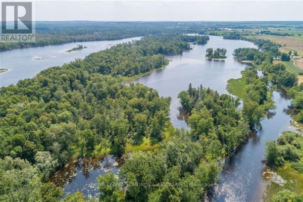 0 Butternut Island, Whitewater Region, ON K0J1C0 Photo 5