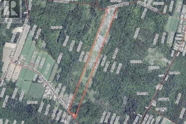 0 Cannontown Road, Mont Carmel, PE C0B2E0 Photo 3