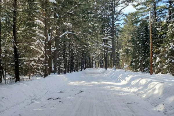 0 Cardwell Lake Road, Huntsville, ON P0B1M0 Photo 4