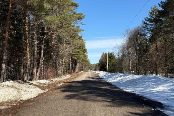 0 Cardwell Lake Road, Huntsville, ON P0B1M0 Photo 5