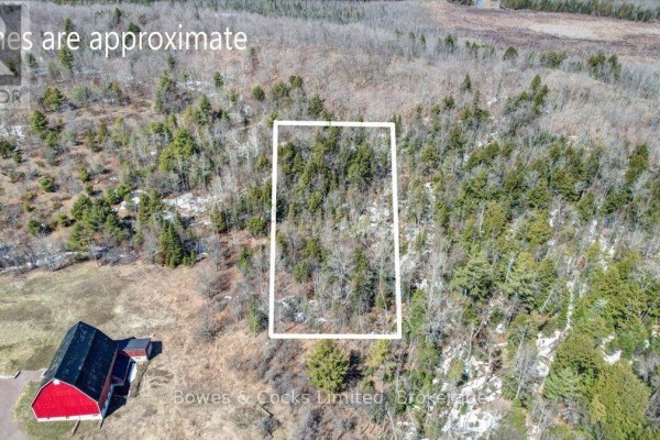 0 Centre Line Road, Madoc, ON K0K2M0 Photo 2
