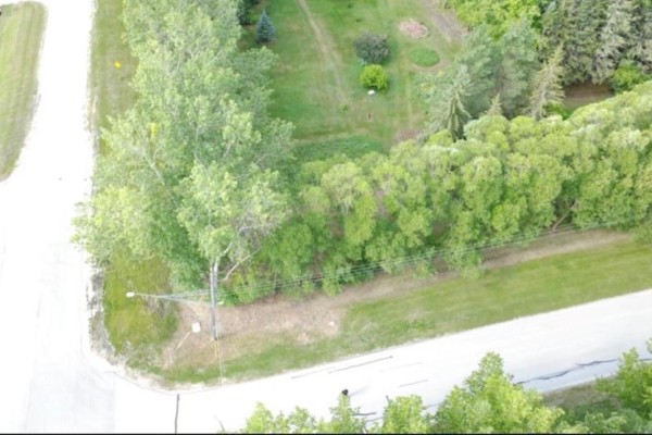 Open green space with a line of tall trees forming a natural boundary on the right. - 0 Church Road, East Selkirk