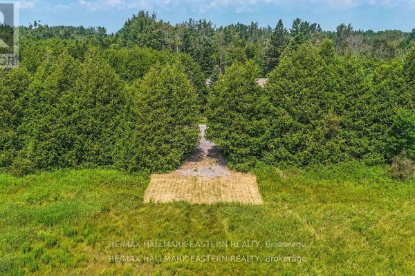 0 Con 10 Lot 5 Old Norwood Road, Havelock Belmont Methuen, ON K0L1Z0 Photo 2