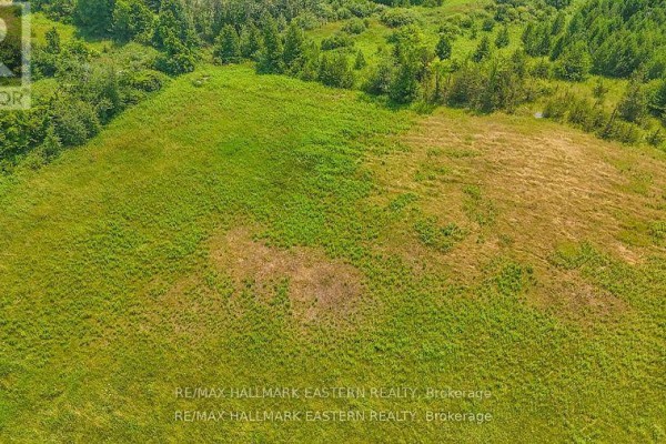 0 Con 10 Lot 5 Old Norwood Road, Havelock Belmont Methuen, ON K0L1Z0 Photo 3