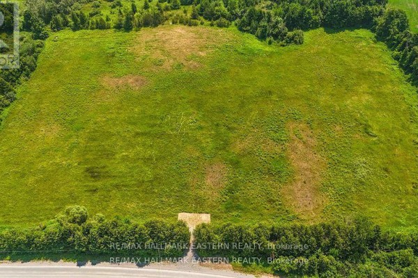 0 Con 10 Lot 5 Old Norwood Road, Havelock Belmont Methuen, ON K0L1Z0 Photo 4
