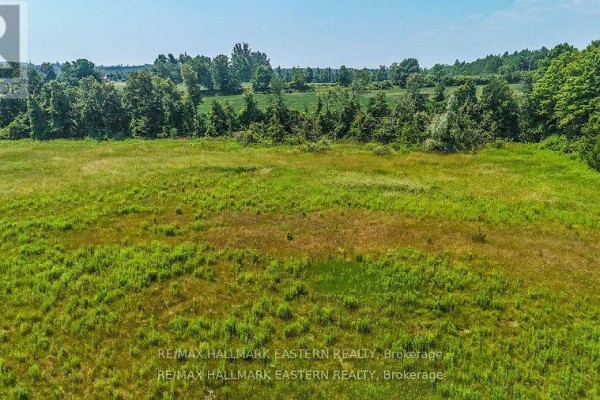 0 Con 10 Lot 5 Old Norwood Road, Havelock Belmont Methuen, ON K0L1Z0 Photo 5