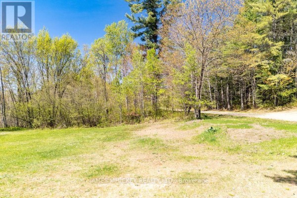 0 Corry Lake Road, Laurentian Hills, ON K0J1J0 Photo 3
