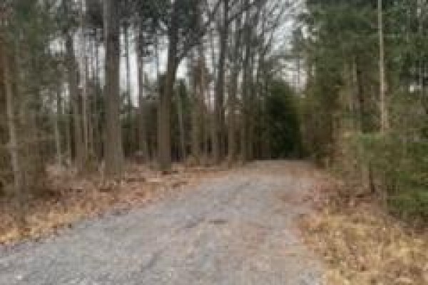 0 County Rd 42, Trent Hills, ON K0L1Z0 Photo 2