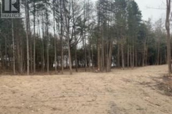 0 County Rd 42, Trent Hills, ON K0L1Z0 Photo 3