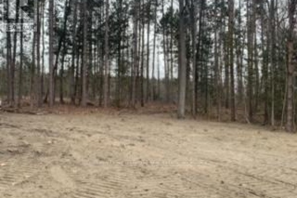 0 County Rd 42, Trent Hills, ON K0L1Z0 Photo 4