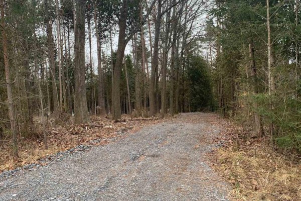 0 County Rd 42, Trent Hills, ON K0L1Z0 Photo 5