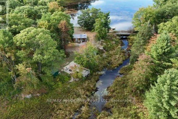 0 County Road 46 Road N, Havelock Belmont Methuen, ON K0L1Z0 Photo 2
