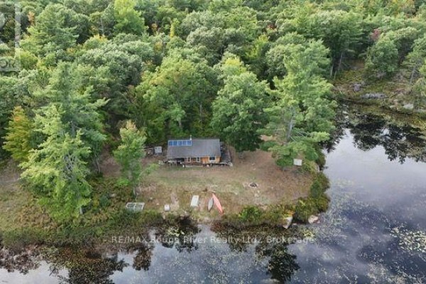 0 County Road 46 Road N, Havelock Belmont Methuen, ON K0L1Z0 Photo 3