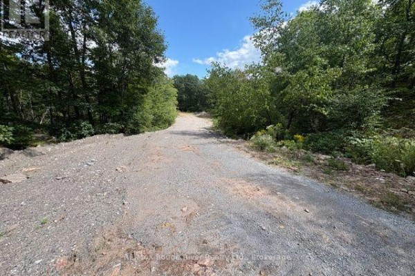 0 County Road 46 Road N, Havelock Belmont Methuen, ON K0L1Z0 Photo 4