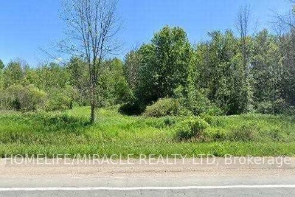 0 County Road 89, Innisfil, ON L0L1L0 Photo 2