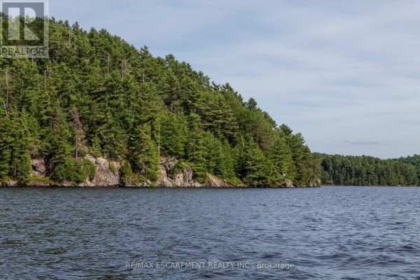 0 Crown Island Island, Huntsville, ON P0B1L0 Photo 5