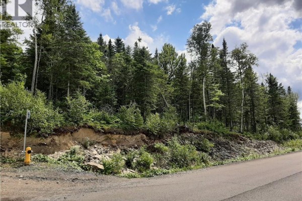 0 De La Falaise Street, Edmundston, NB, photo 2