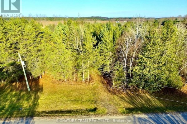 Ground-level view of a grassy clearing bordered by tall evergreen trees and a paved road. - 0 Dombroskie Road, Whitewater Region