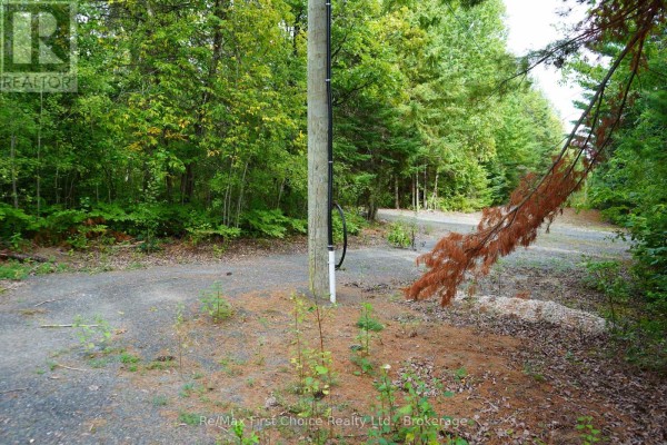 0 Dubois Road, Sioux Narrows Nestor Falls, ON P0X1N0 Photo 5