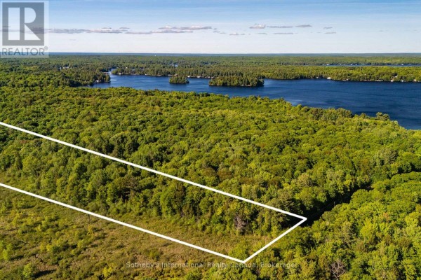 0 Dudley Road, Muskoka Lakes, ON P0B1J0 Photo 3