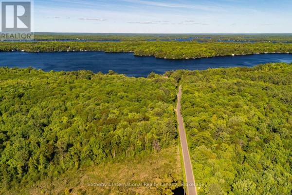 0 Dudley Road, Muskoka Lakes, ON P0B1J0 Photo 4