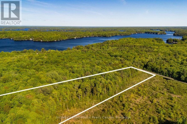 0 Dudley Road, Muskoka Lakes, ON P0B1J0 Photo 5