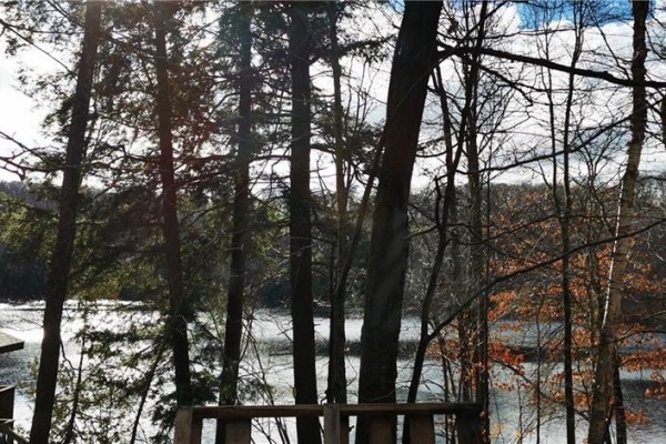0 Echo Bay Road, Dwight, ON P0A1H0 Photo 2