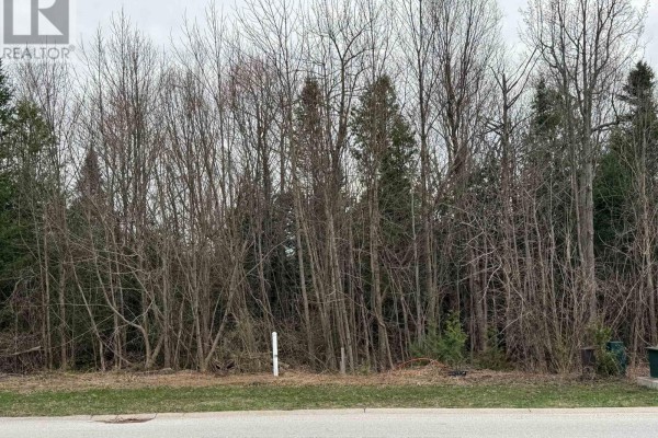 0 Emerald Drive, Saugeen Shores, ON N0H2L0 Photo 5