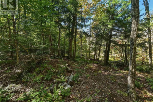 0 Estonian Camp Road, Huntsville, ON P0B1L0 Photo 4