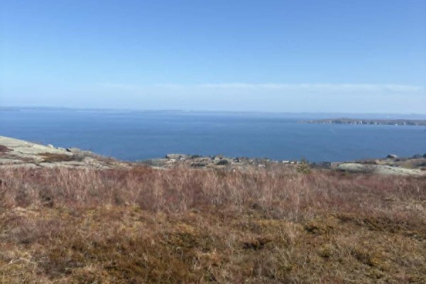 0 Farm Road, Upper Island Cove, NL A0A4E0 Photo 4