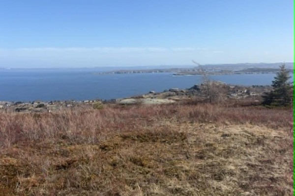 0 Farm Road, Upper Island Cove, NL A0A4E0 Photo 5